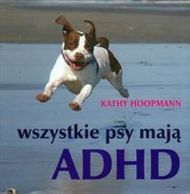 Afiti.pl